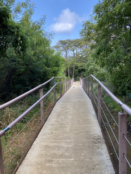 Cost of Footpath Construction in Jefferson City